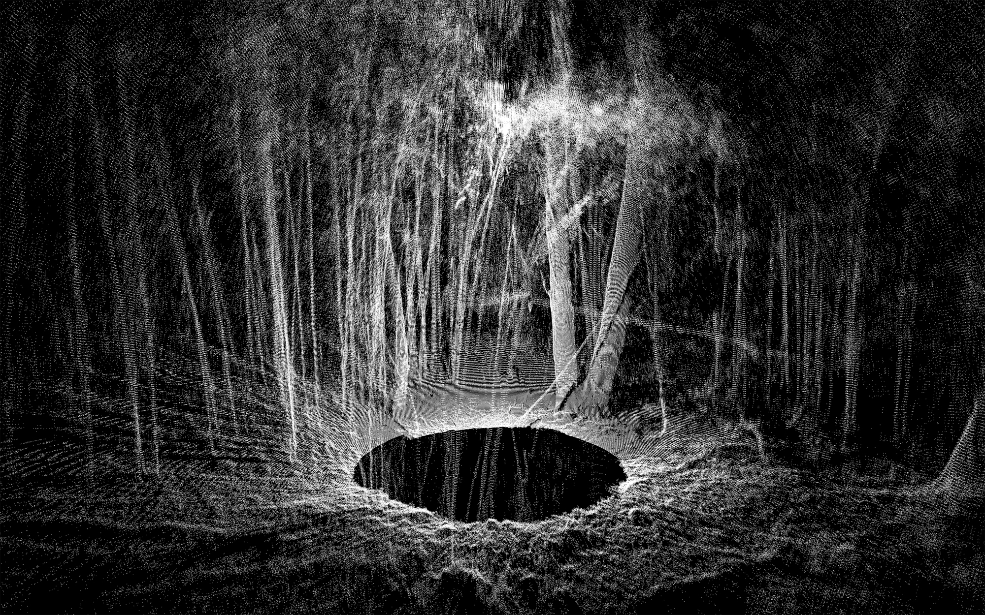 LIDAR Photography by Ben Snell: Forest, Within