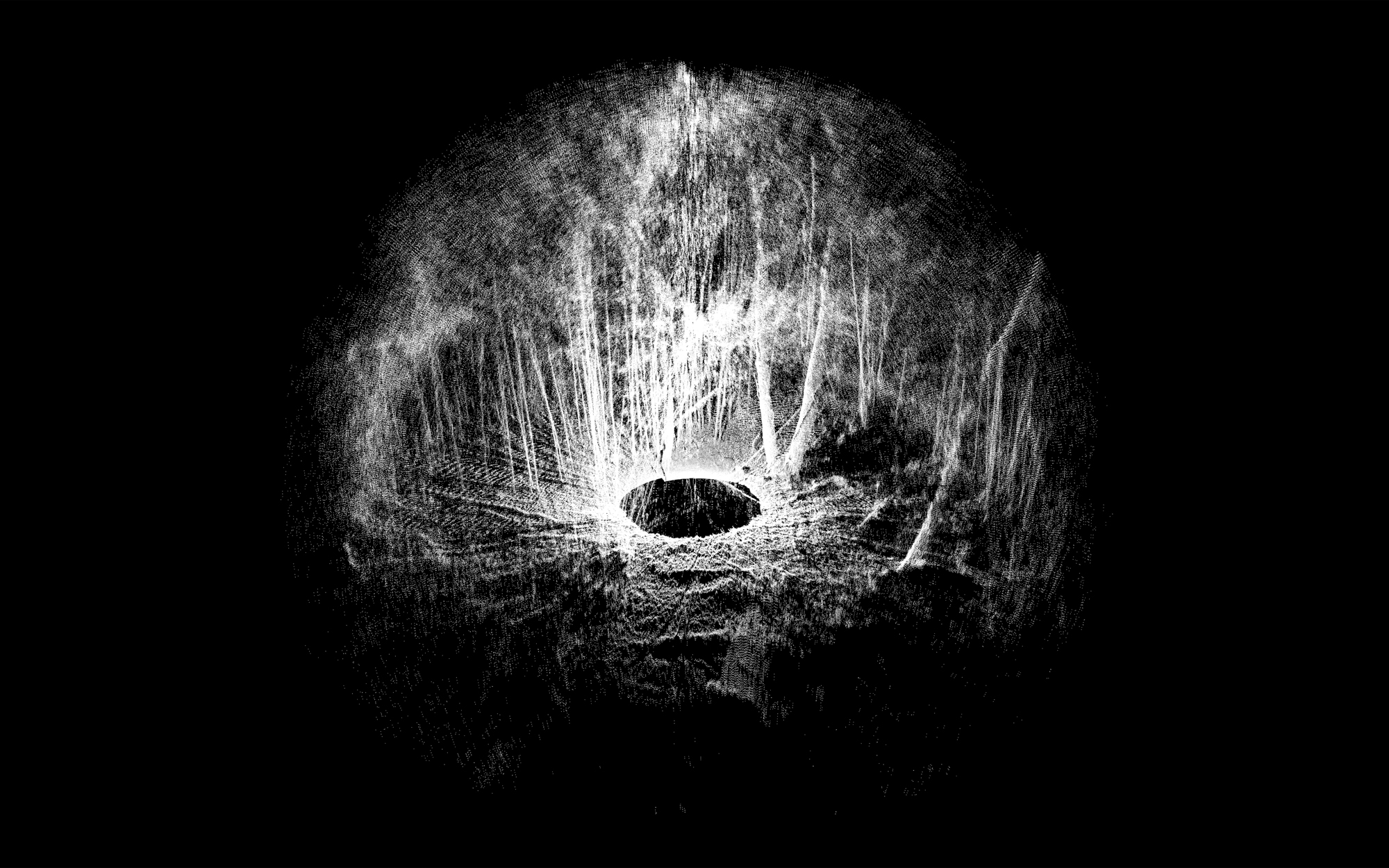 LIDAR Photography by Ben Snell: Forest, Far
