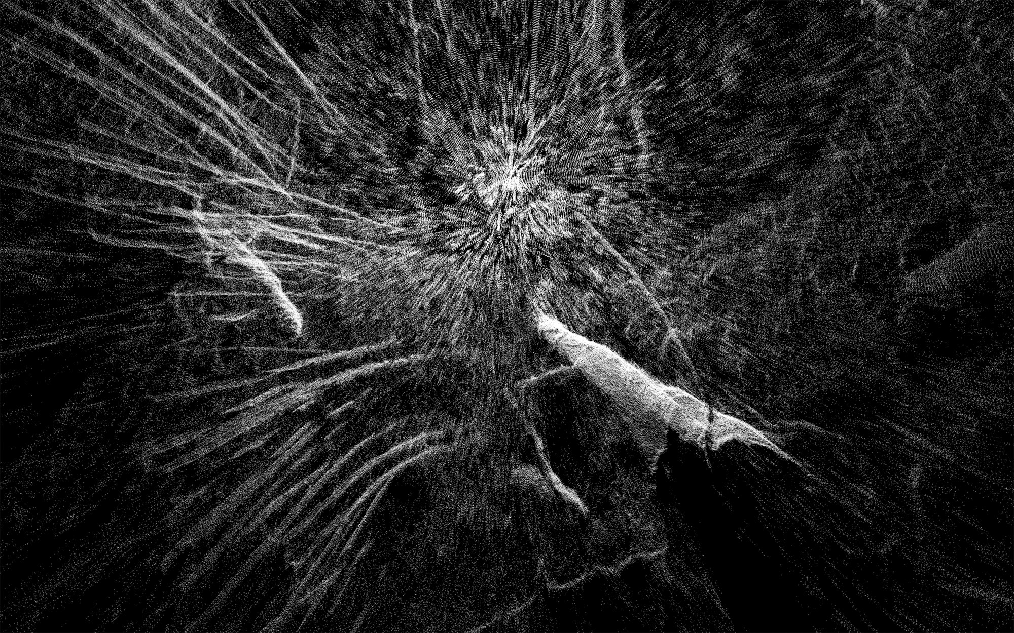 LIDAR Photography by Ben Snell: Forest, Below