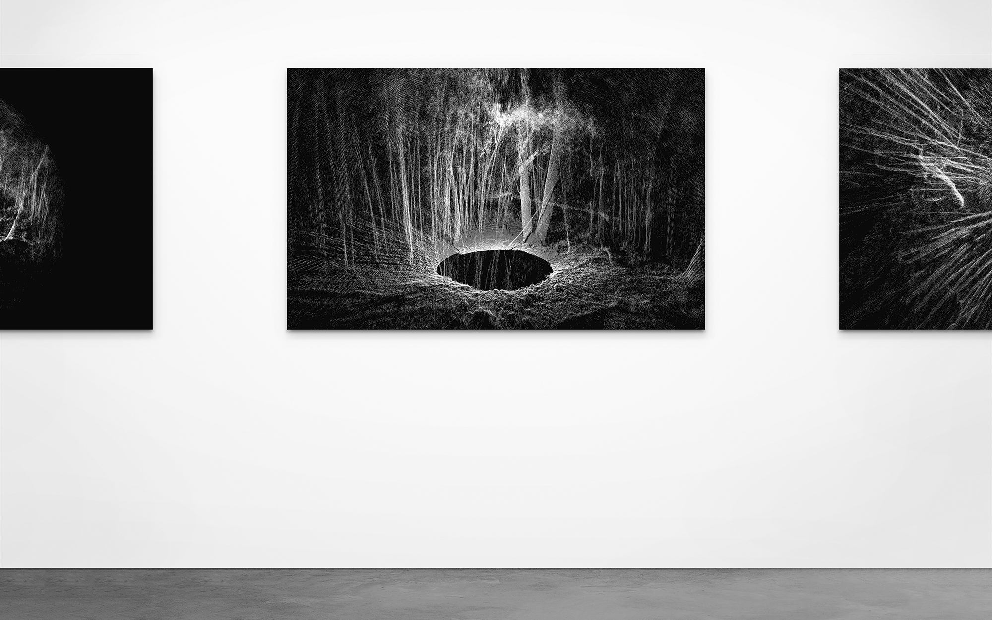LIDAR Photography by Ben Snell: Forest, Within