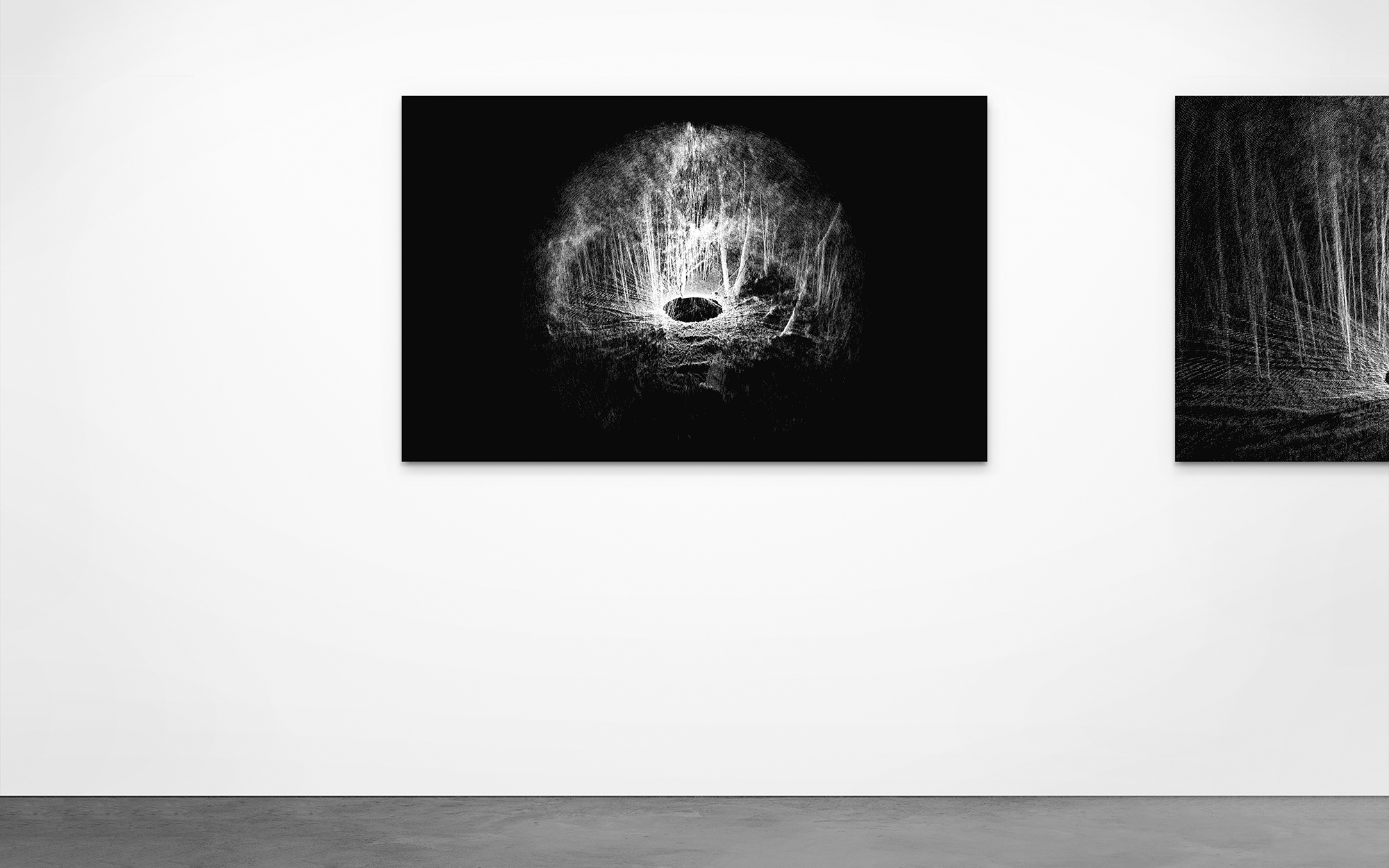 LIDAR Photography by Ben Snell: Forest, Far