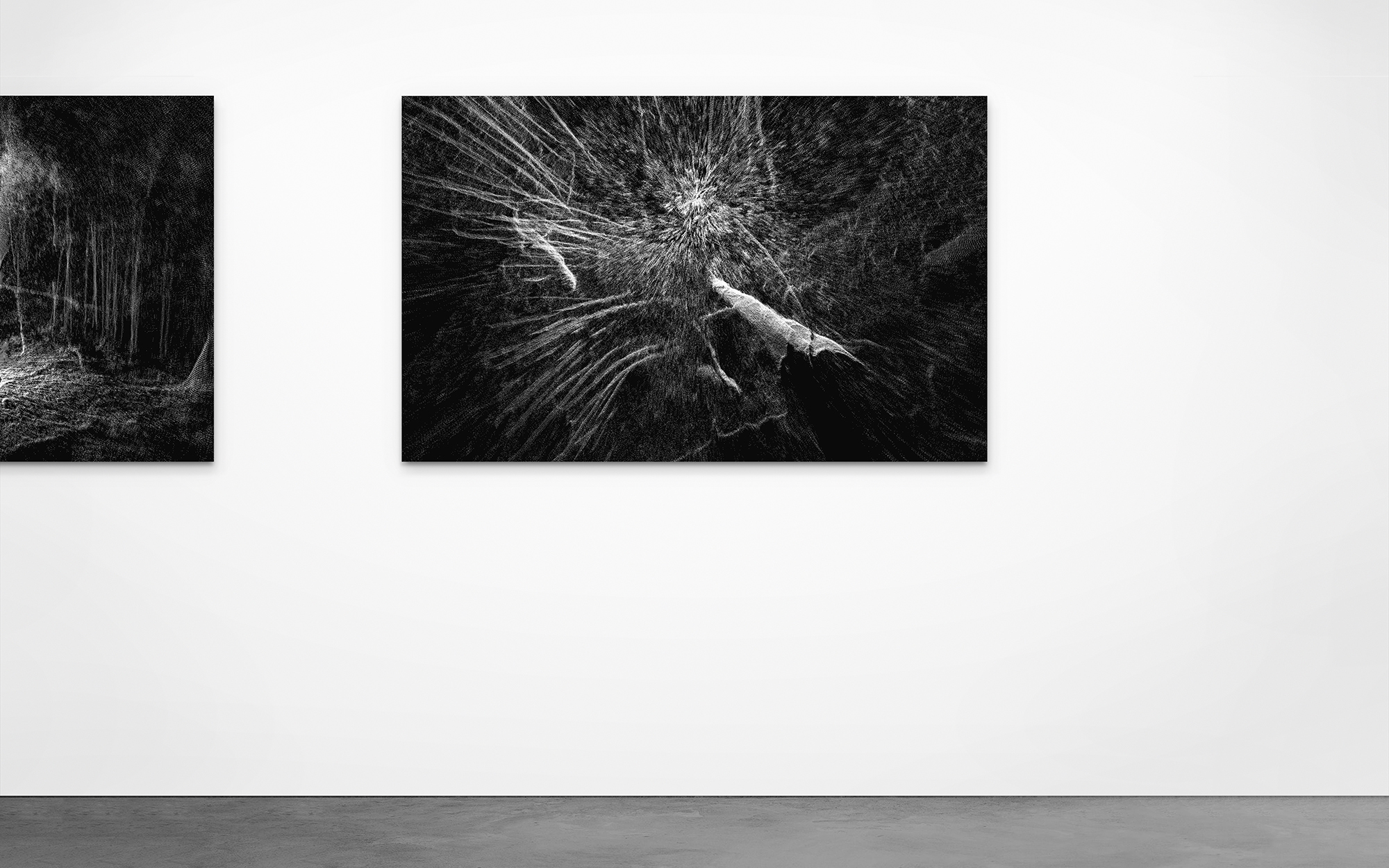 LIDAR Photography by Ben Snell: Forest, Below