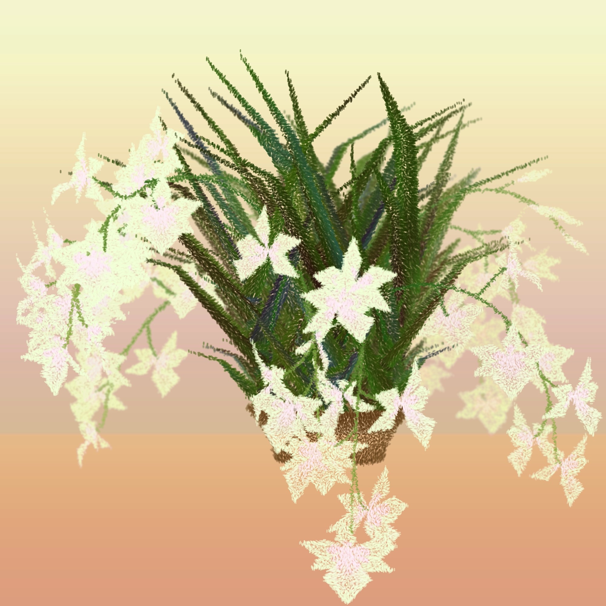Cattleya by Ben Snell: Cattleya (0x4fd) ∼ demo