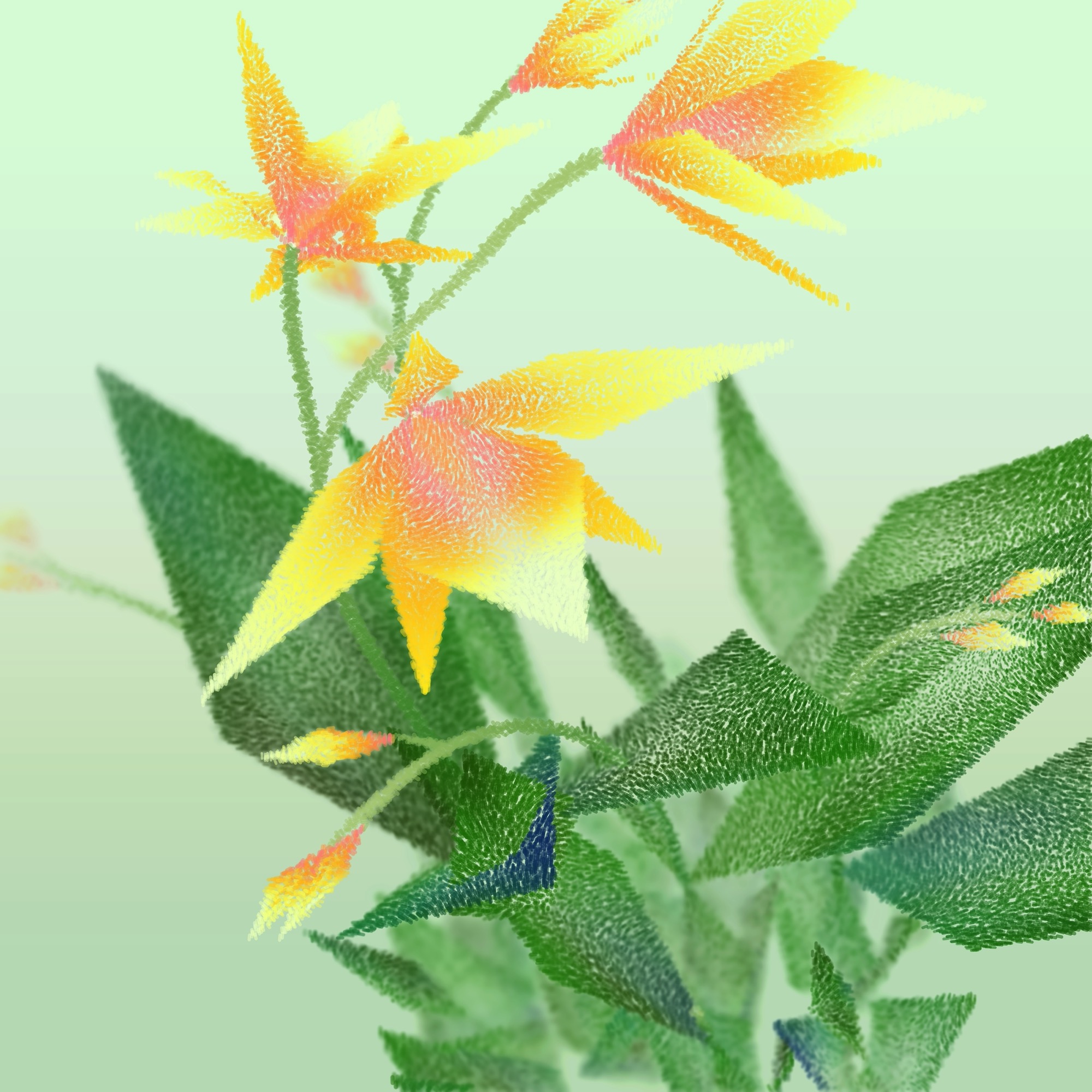 Cattleya by Ben Snell: Cattleya (0x19e) ∼ demo