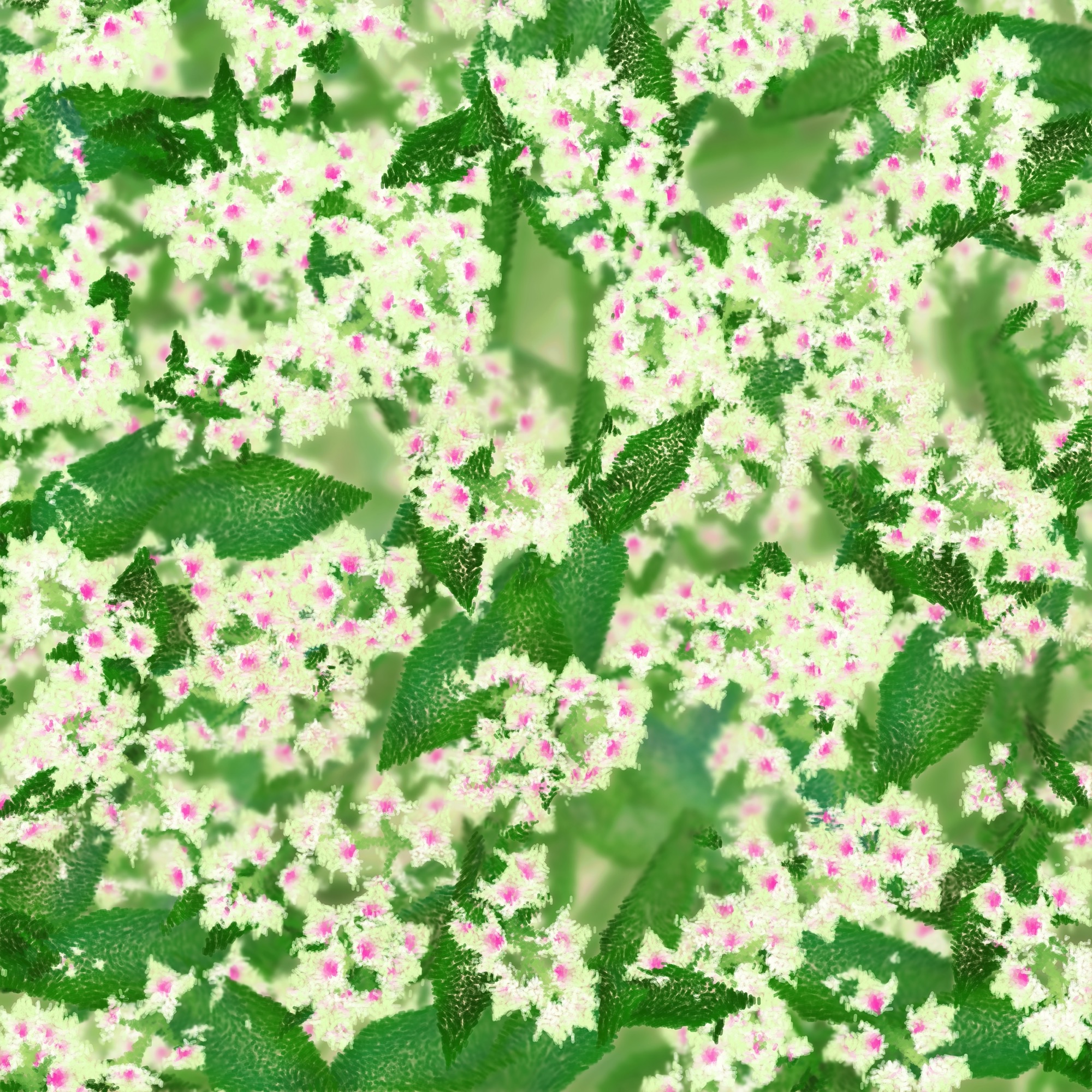 Cattleya by Ben Snell: Cattleya (0xa15) ∼ demo