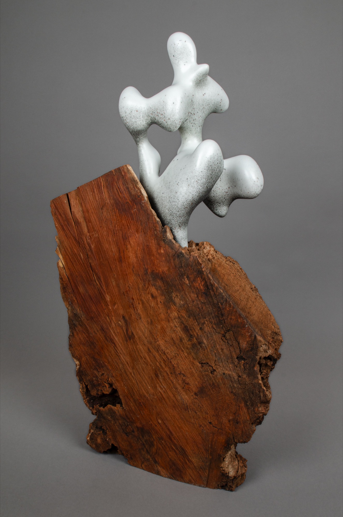 Gaia by Ben Snell: Gaia Miden