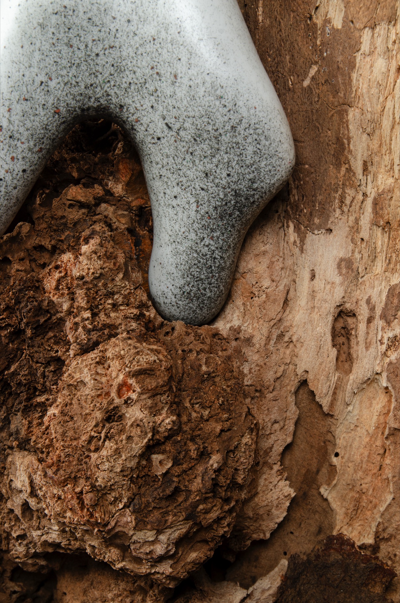 Gaia by Ben Snell: Gaia Miden