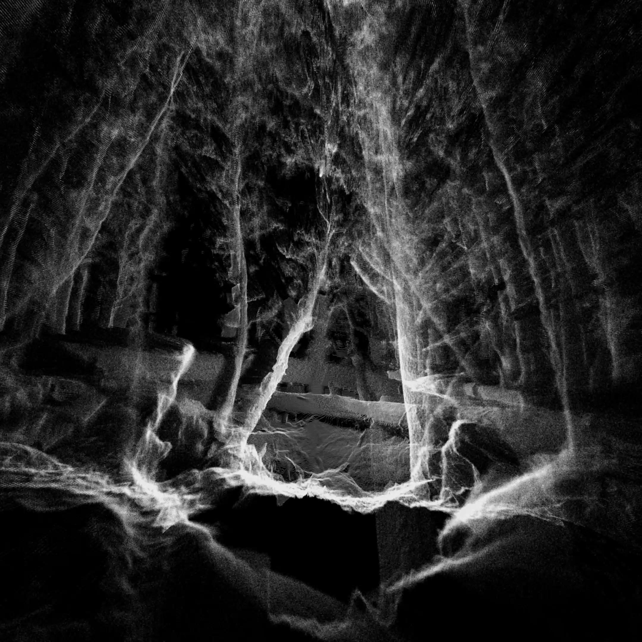 Ritual Nature by Ben Snell